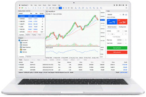 MetaTrader 5 Market Depth Interface